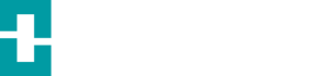 logo-palladyo-white